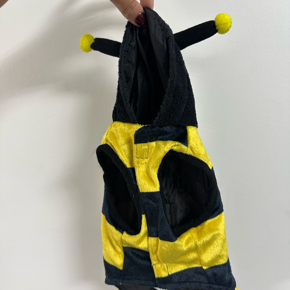 Halloween Bumblebee Costume - Dog XS - Picture 8 of 12